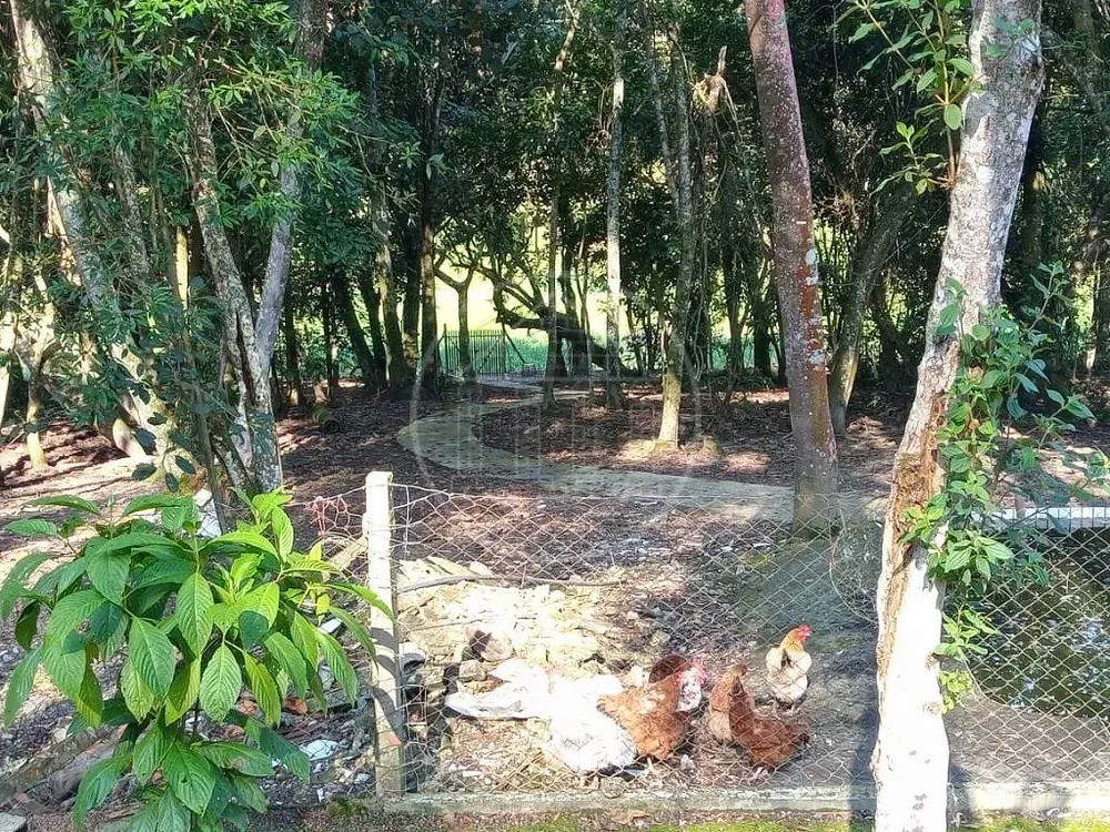 Chácara, 3 quartos, 6386 m² - Foto 5