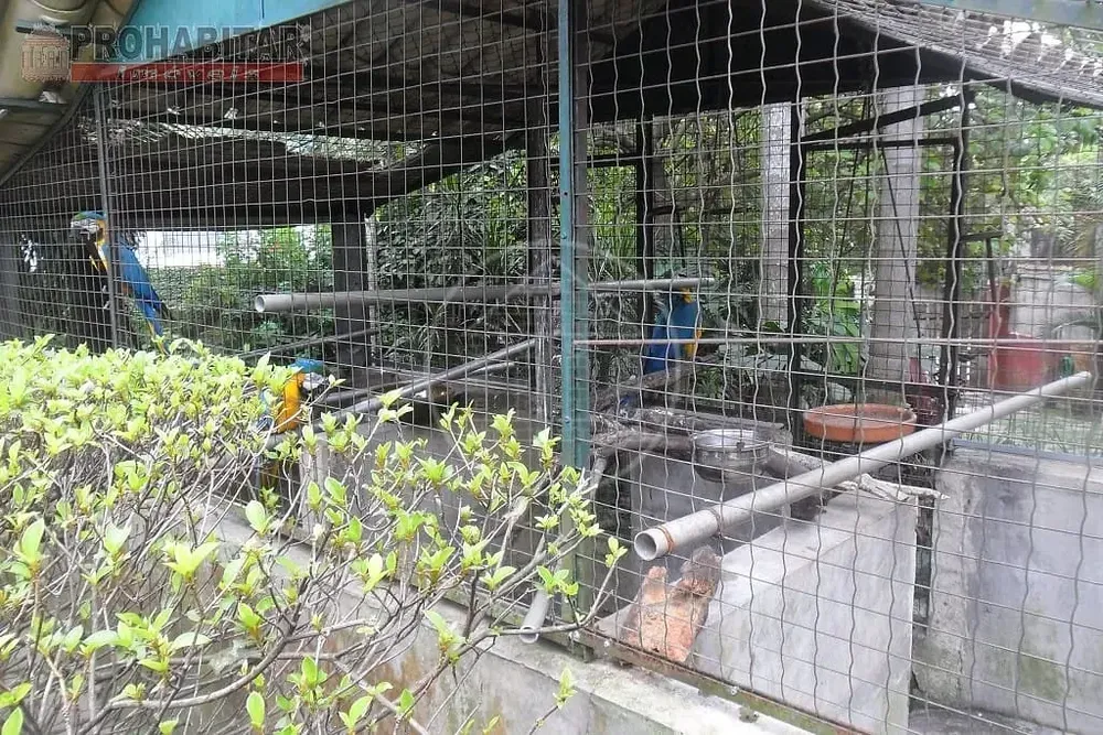 Chácara, 3 quartos, 2000 m² - Foto 5