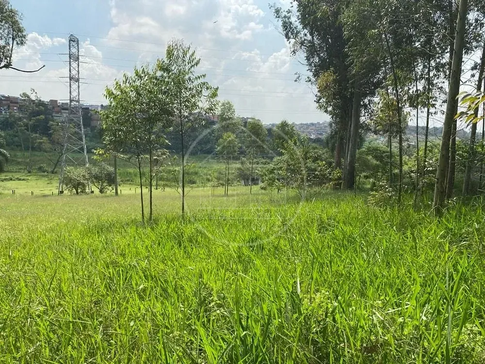 Terreno, 2 hectares - Foto 15