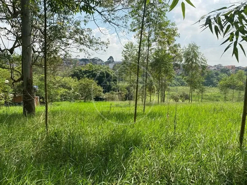 Terreno, 2 hectares - Foto 13