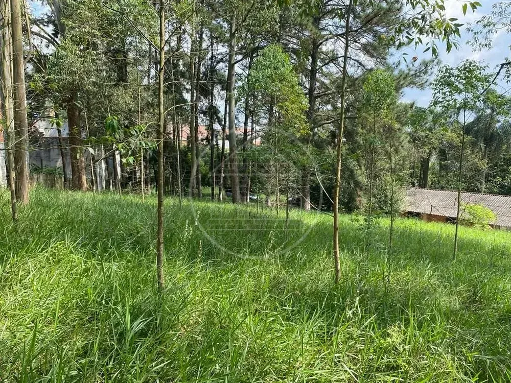 Terreno, 2 hectares - Foto 10