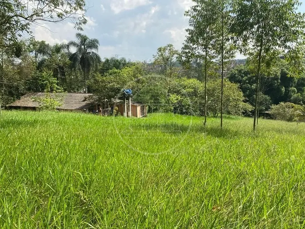Terreno, 2 hectares - Foto 3