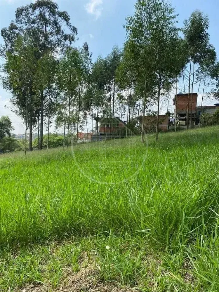 Terreno, 2 hectares - Foto 11