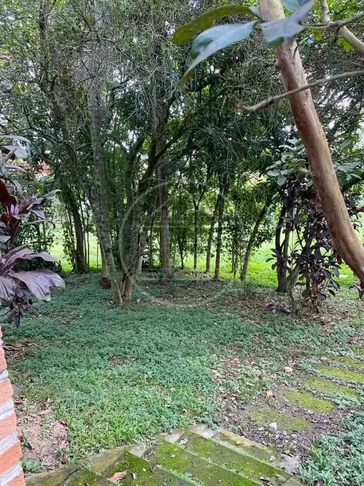 Terreno, 2 hectares - Foto 6