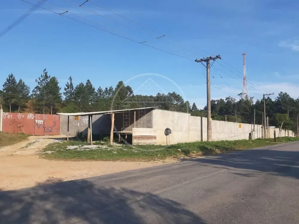 Terreno, 2 hectares - Foto 6