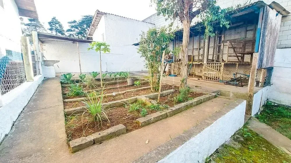 Chácara, 4 quartos, 1800 m² - Foto 13