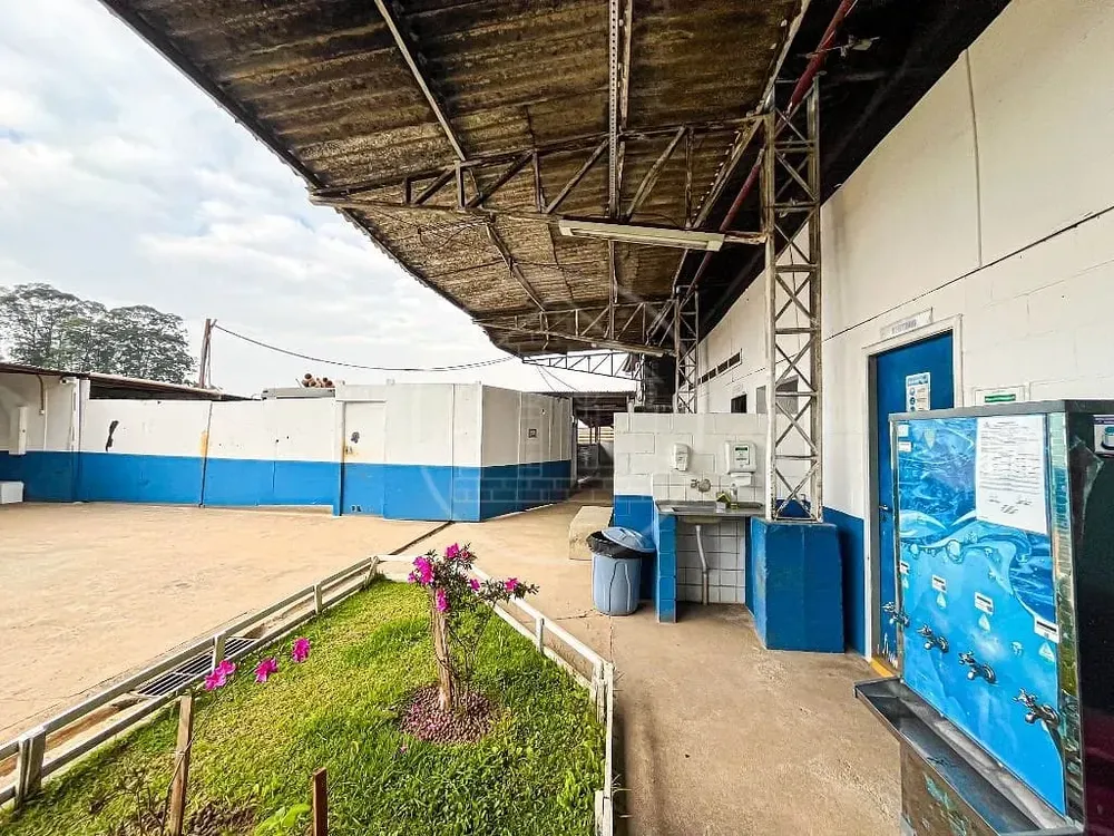 Terreno, 4500 m² - Foto 11