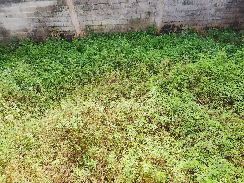 Casa, 3 quartos, 120 m² - Foto 4