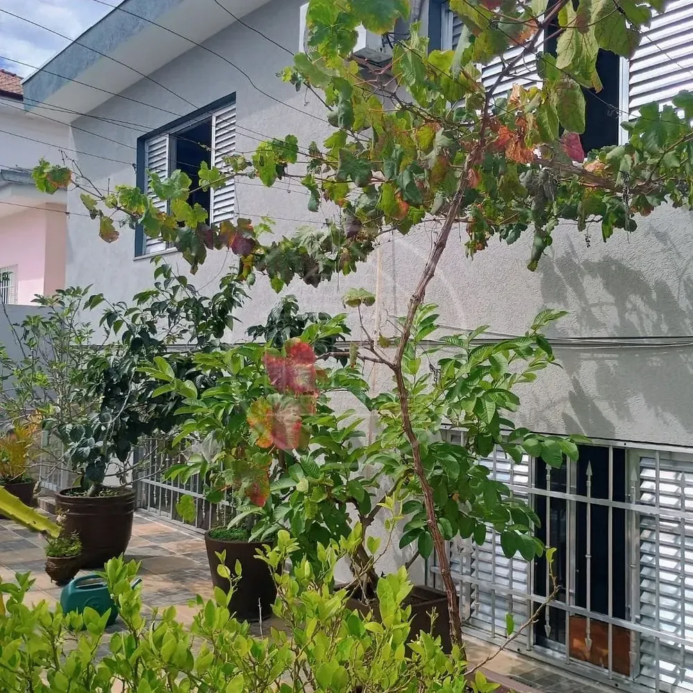 Sobrado, 5 quartos, 200 m² - Foto 15