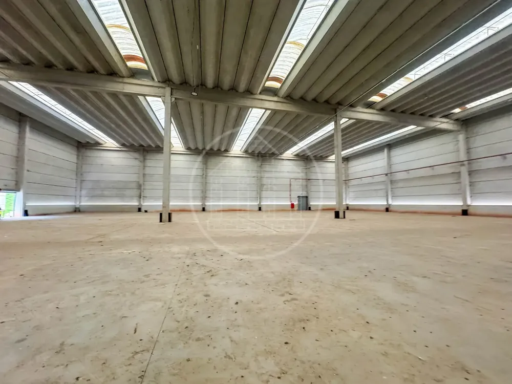 Depósito-Galpão, 2000 m² - Foto 12