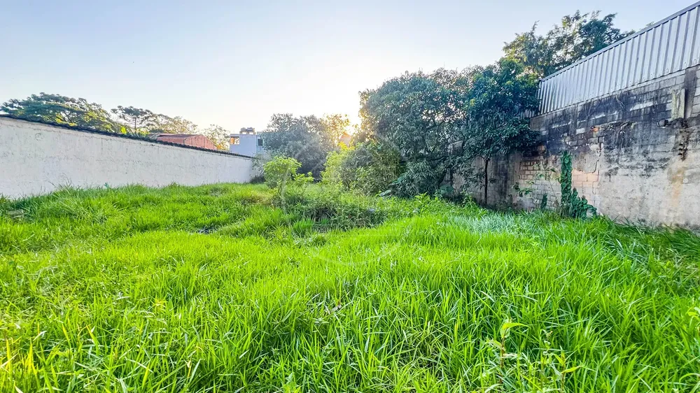 Terreno, 3600 m² - Foto 7