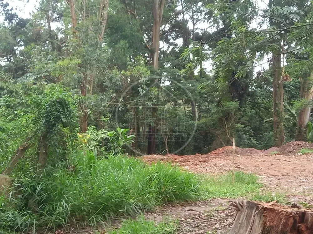 Terreno, 5000 m² - Foto 4