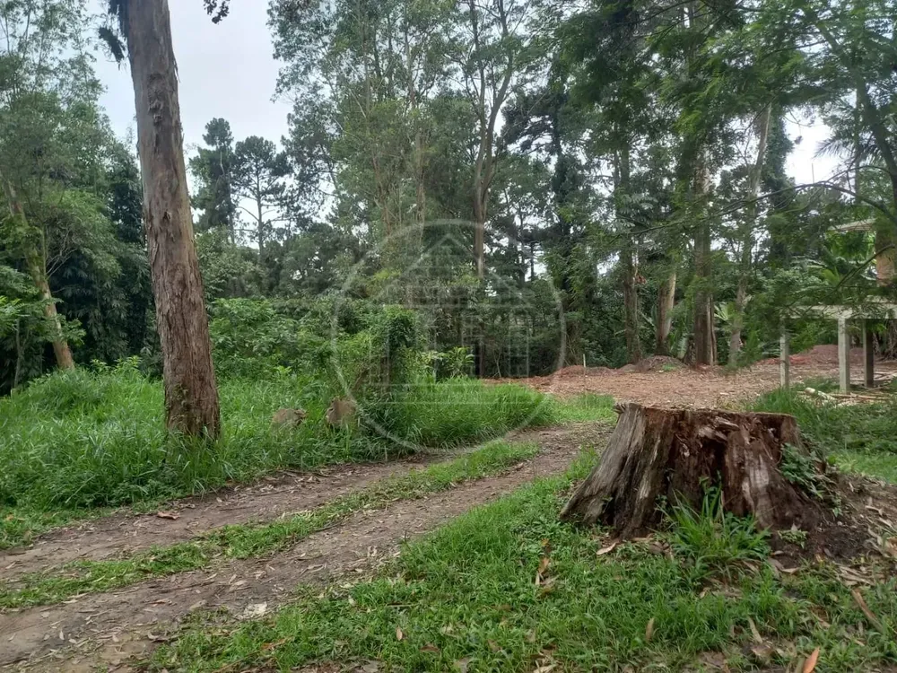 Terreno, 5000 m² - Foto 1
