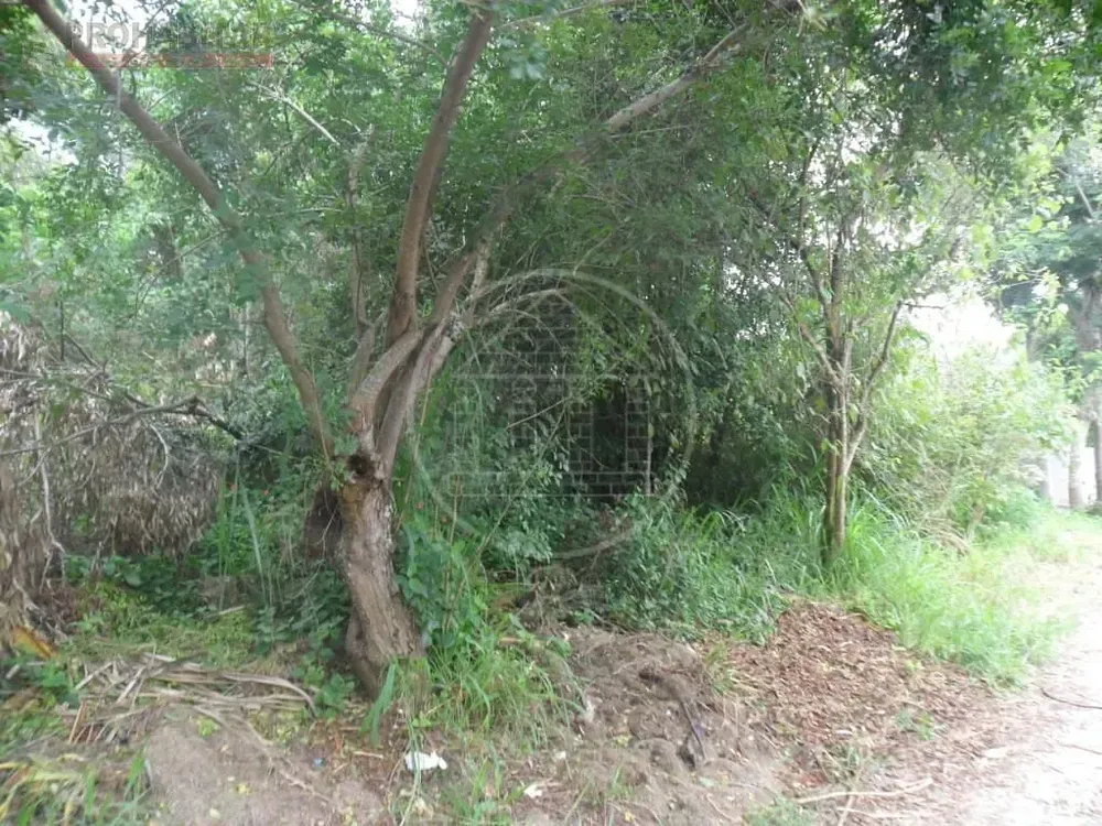 Terreno, 504 m² - Foto 5
