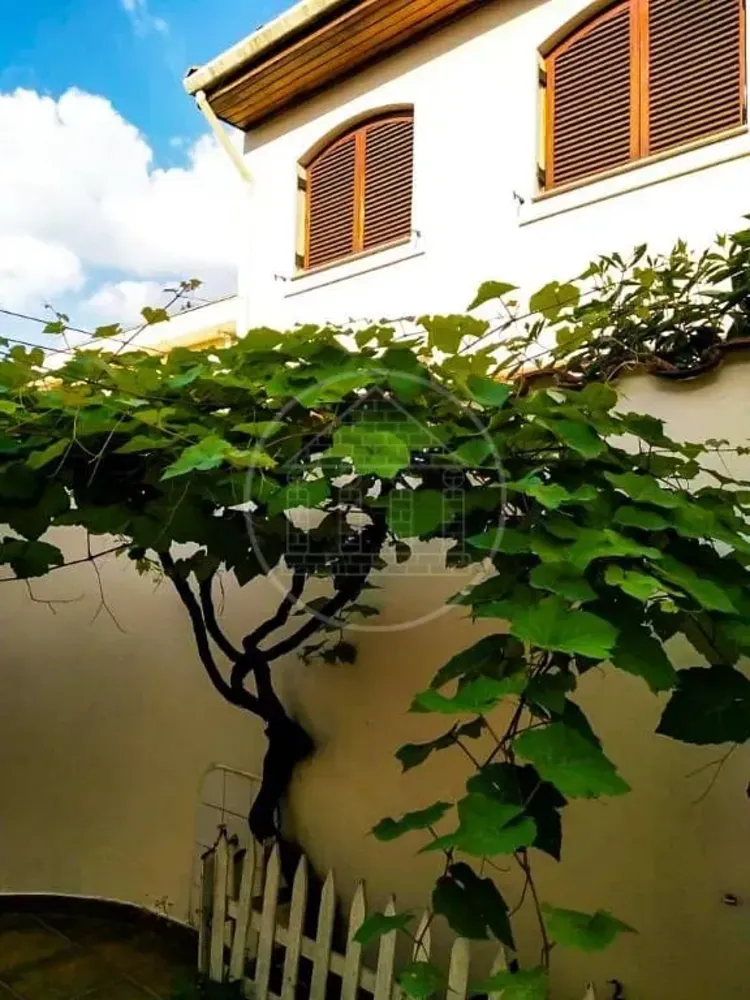 Casa, 5 quartos, 240 m² - Foto 16