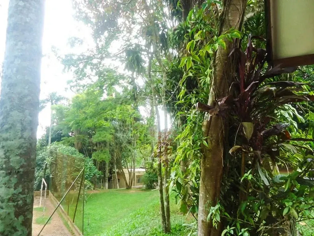 Chácara, 3 quartos, 3451 m² - Foto 2