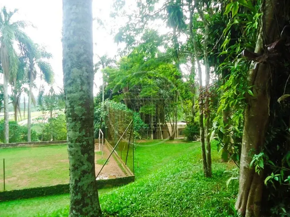 Chácara, 3 quartos, 3451 m² - Foto 4