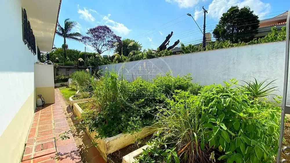 Casa, 5 quartos, 520 m² - Foto 7
