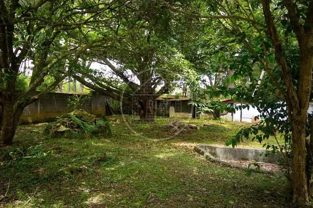 Terreno, 261 m² - Foto 6