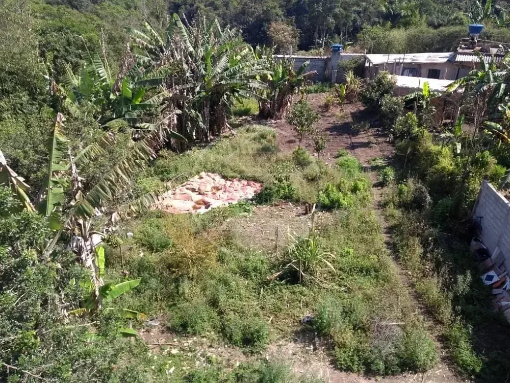 Chácara, 3 quartos, 2050 m² - Foto 3