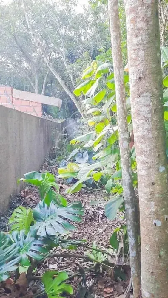 Terreno, 500 m² - Foto 1