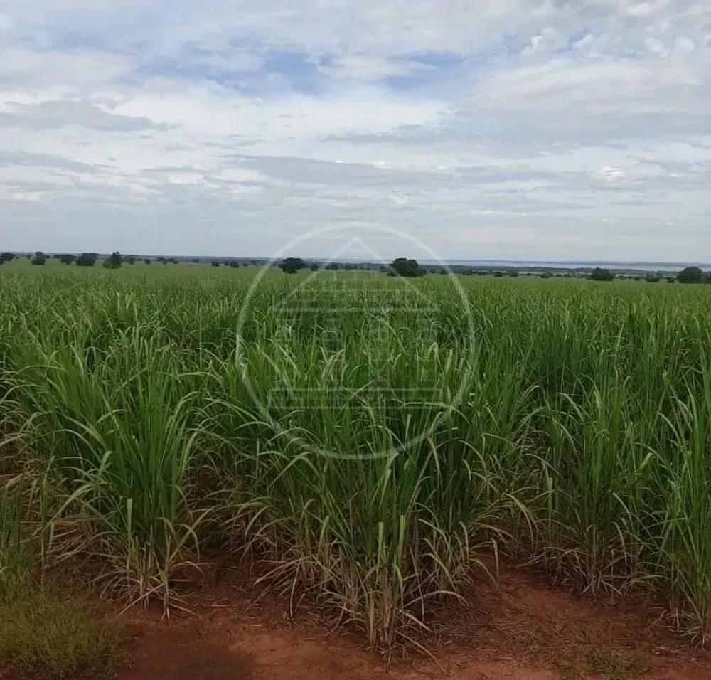 Fazenda, 130 hectares - Foto 9