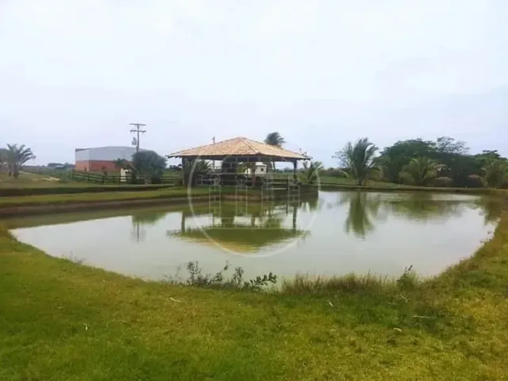 Fazenda, 130 hectares - Foto 10