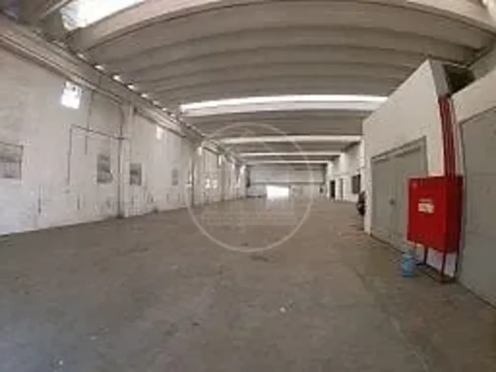 Depósito-Galpão, 5500 m² - Foto 3