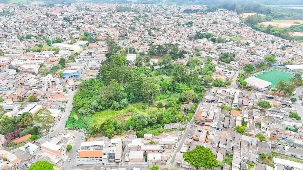 Terreno, 3 hectares - Foto 7