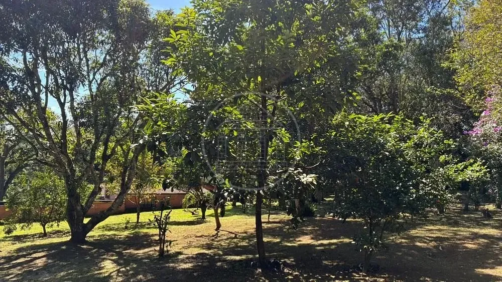 Terreno, 1000 m² - Foto 5