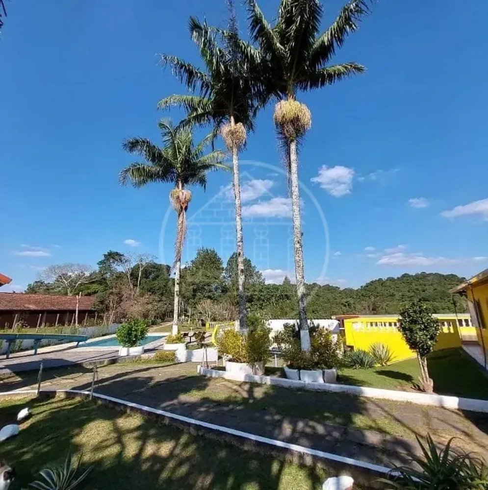 Chácara, 3 quartos, 4800 m² - Foto 3