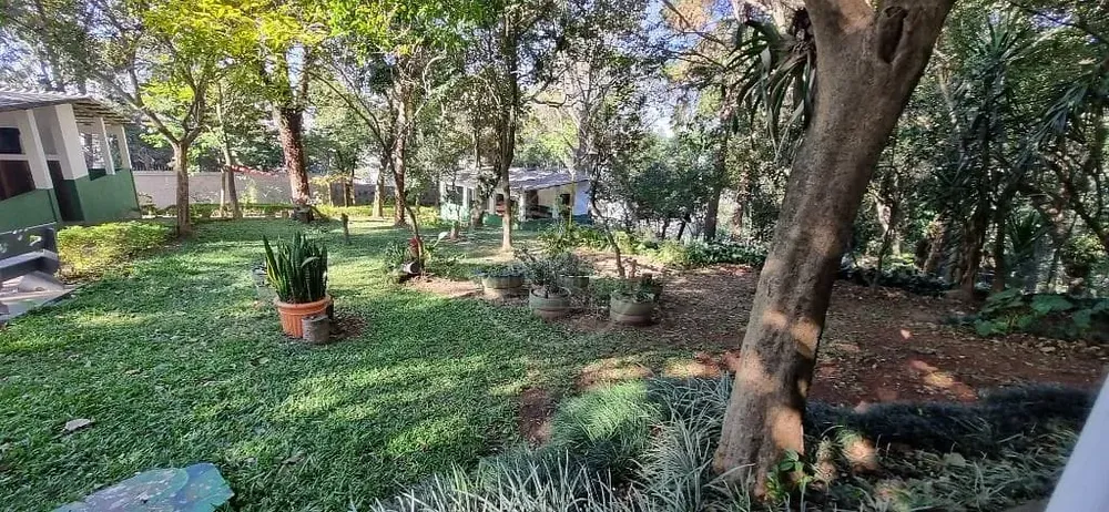 Apartamento, 3 quartos, 74 m² - Foto 15