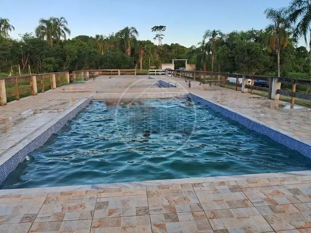 Terreno, 5 hectares - Foto 1