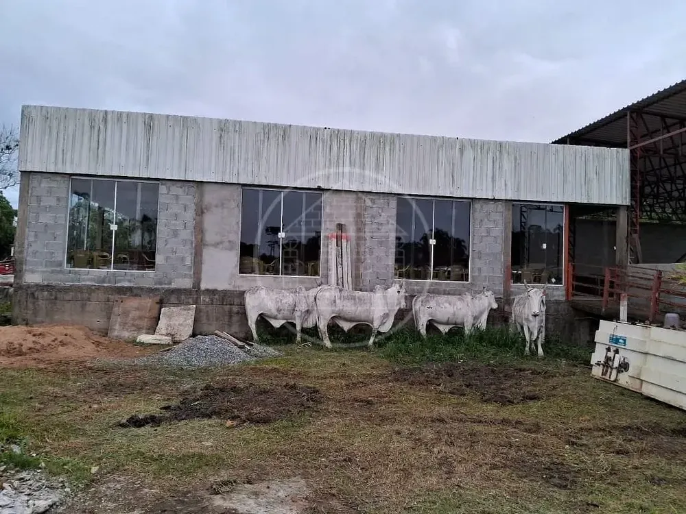 Terreno, 5 hectares - Foto 10