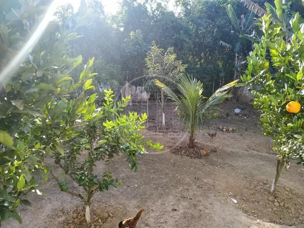 Casa, 3 quartos, 450 m² - Foto 12