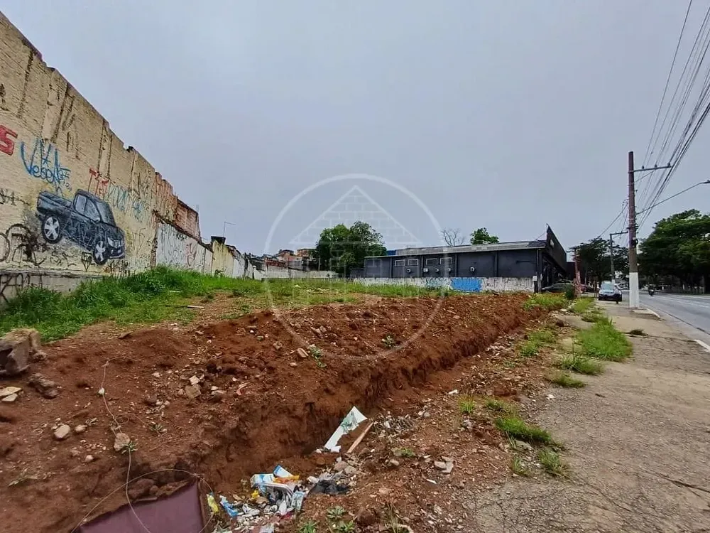 Terreno, 1815 m² - Foto 5