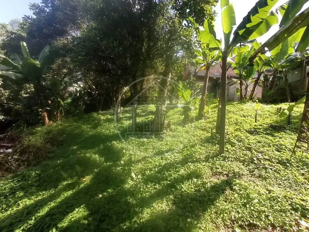 Chácara, 2 quartos, 3206 m² - Foto 10