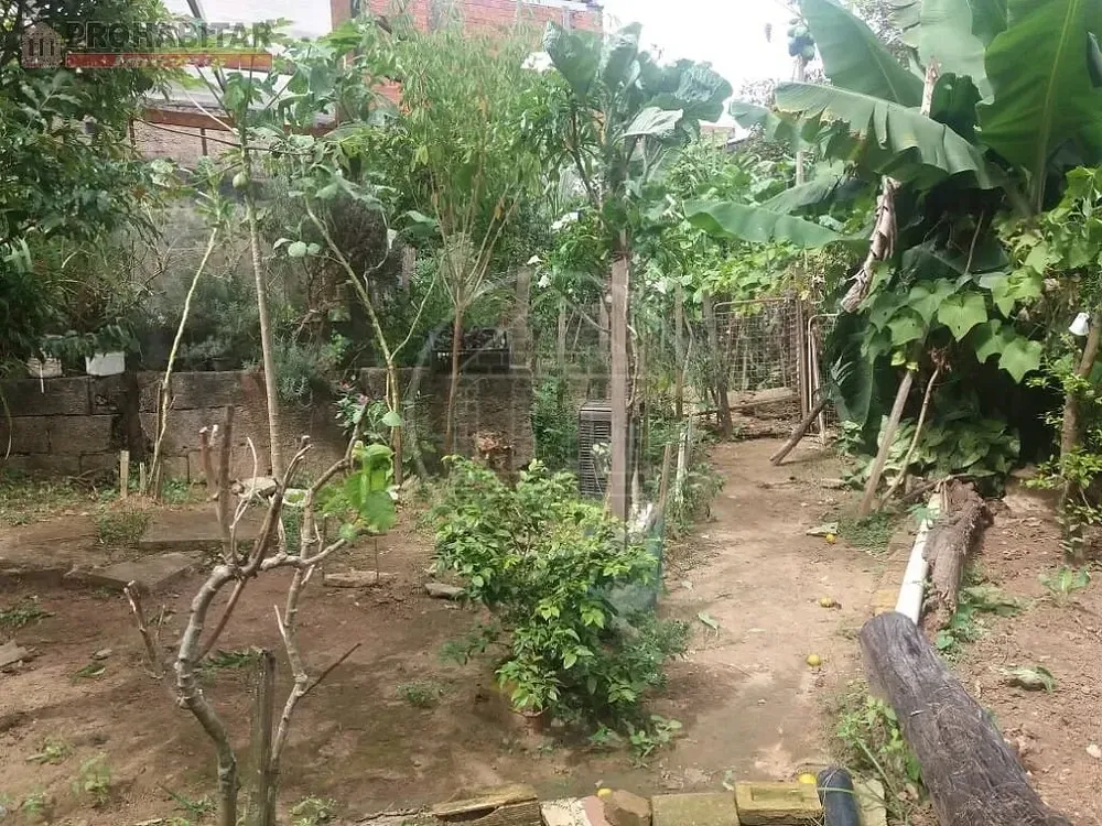 Casa, 3 quartos, 438 m² - Foto 6