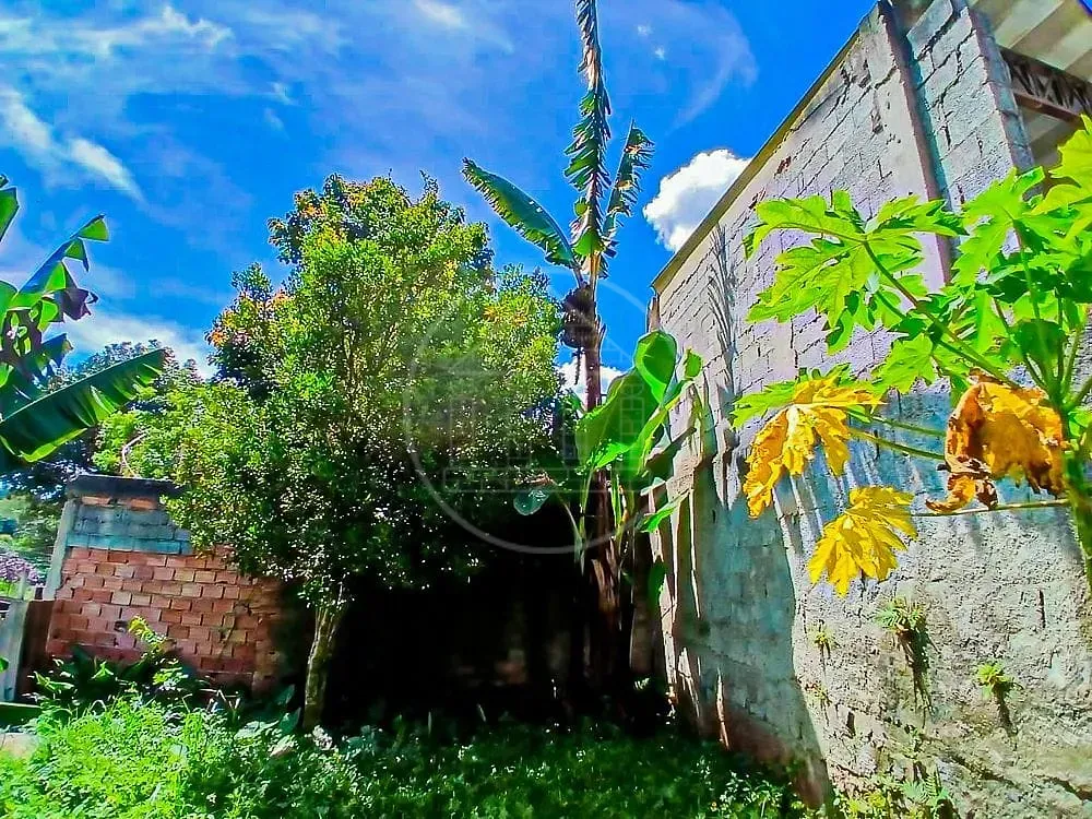 Chácara, 3 quartos, 1200 m² - Foto 3