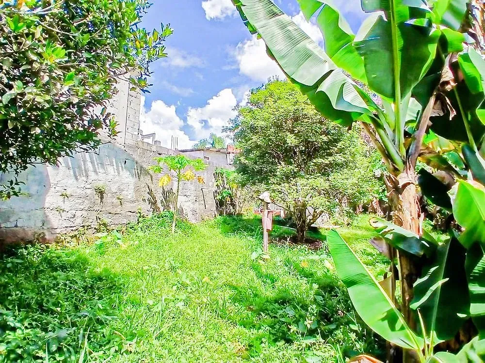 Chácara, 3 quartos, 1200 m² - Foto 14