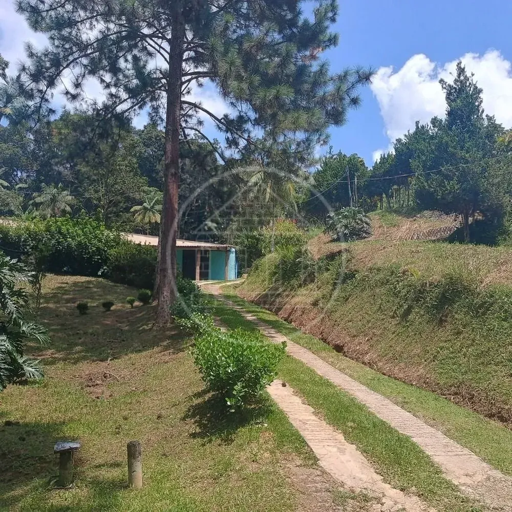 Sítio, 11 quartos, 2 hectares - Foto 11