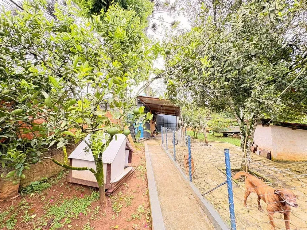 Chácara, 6 quartos, 1520 m² - Foto 16