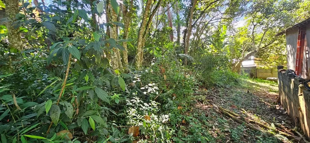 Terreno, 504 m² - Foto 8