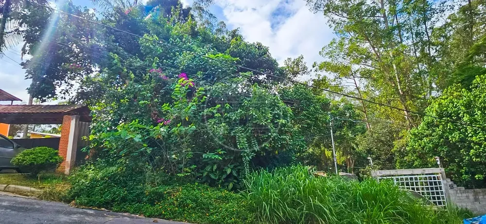 Terreno, 504 m² - Foto 6