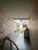 Casa, 9 quartos, 423 m² - Foto 4