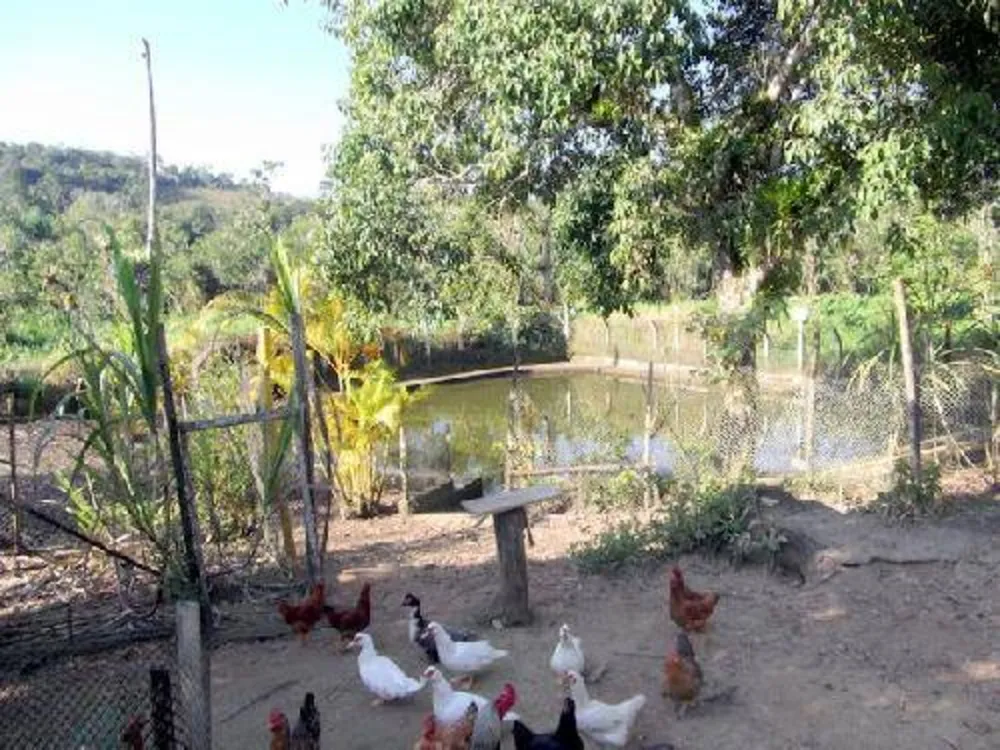 Chácara, 3 quartos, 3000 m² - Foto 20