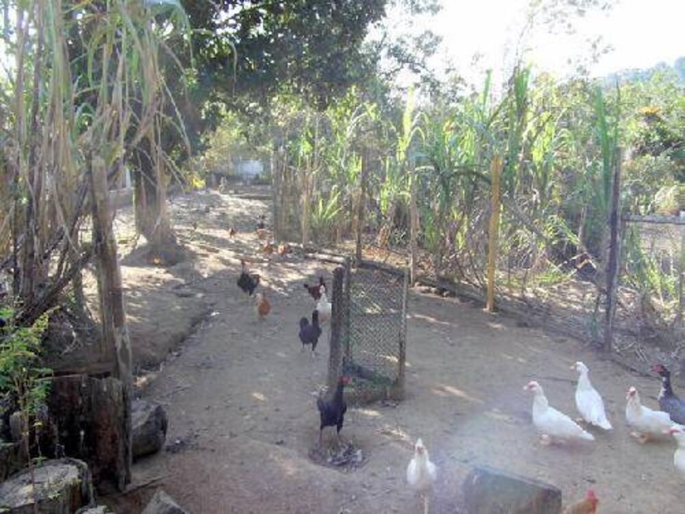 Chácara à venda com 3 quartos, 400m² - Foto 15