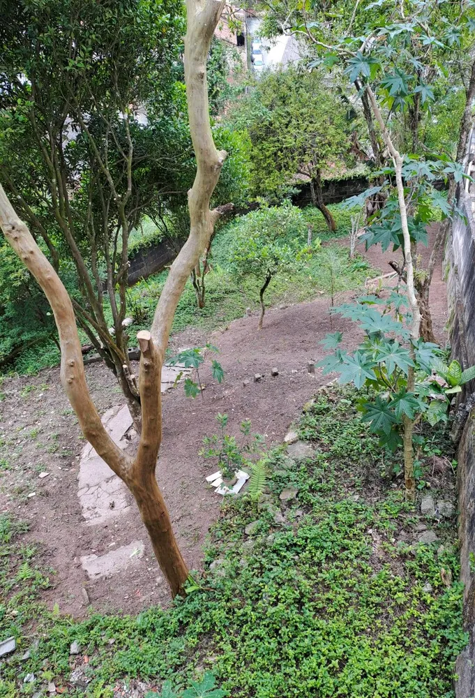Casa, 3 quartos, 217 m² - Foto 15