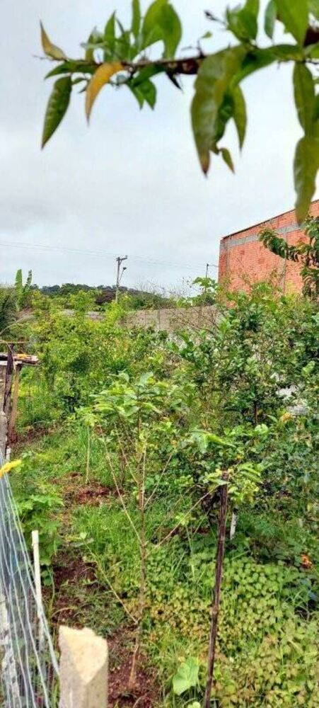 Chácara, 3 quartos, 880 m² - Foto 15