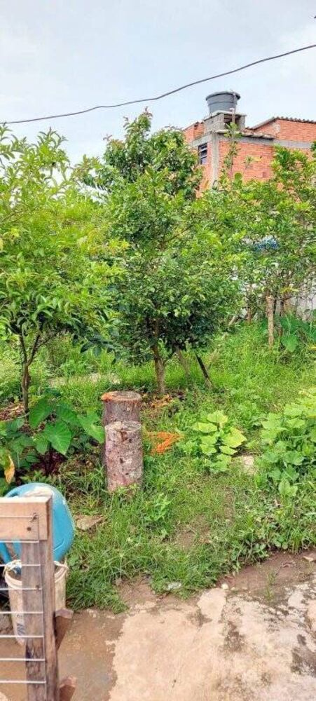 Chácara, 3 quartos, 880 m² - Foto 16